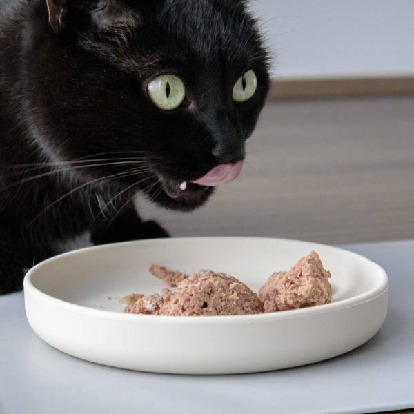 Katzennapf aus Silikon – Bild 4