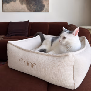Beiges, rechteckiges Rina Katzenbett mit erhöhtem Rand und Logo-Stickerei, in dem eine weiß-grau gefleckte Katze liegt. Kopieren
