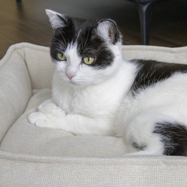 Katzenbett quadratisch – superweich – Bild 7