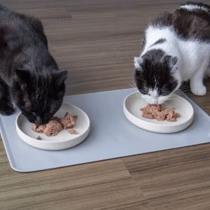 RINA Katzennapfunterlage im Set für einen sauberen Futterplatz