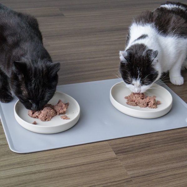 Napf-Set aus Silikon – 2 Näpfe + 1 Napfunterlage