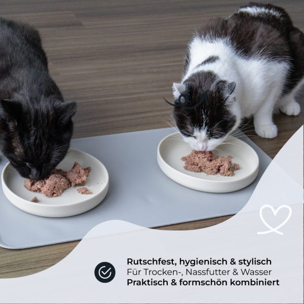 Starterpaket für Katzen – Komplettset – Bild 6